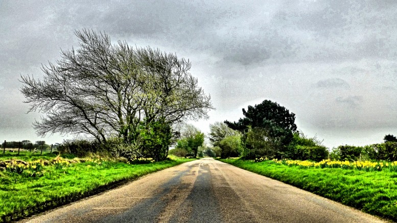 "The road ahead" (CC BY 2.0) by Kate Russell on Flickr